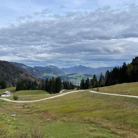 Ferienhaus Kaiserblick - Fewo2 Walchsee Εξωτερικό φωτογραφία