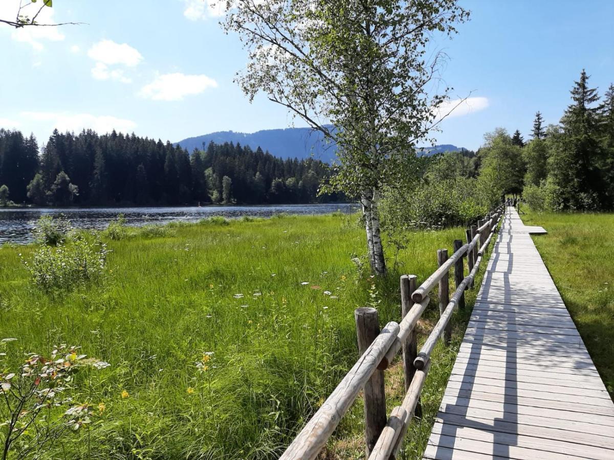 Ferienhaus Kaiserblick - Fewo2 Walchsee Εξωτερικό φωτογραφία