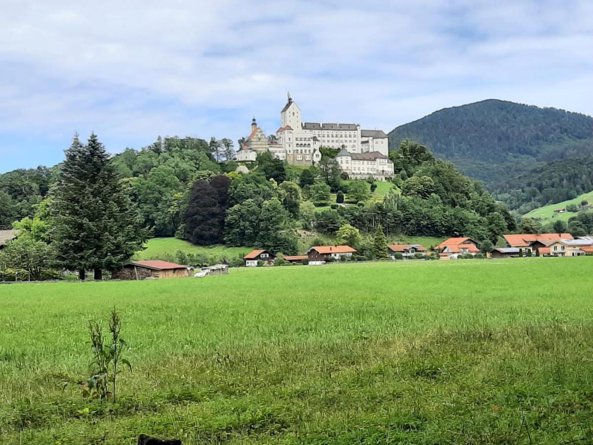 Ferienhaus Kaiserblick - Fewo2 Walchsee Εξωτερικό φωτογραφία