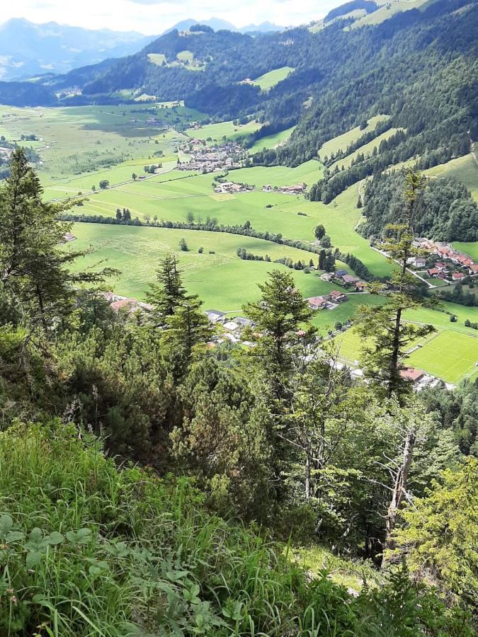 Ferienhaus Kaiserblick - Fewo2 Walchsee Εξωτερικό φωτογραφία